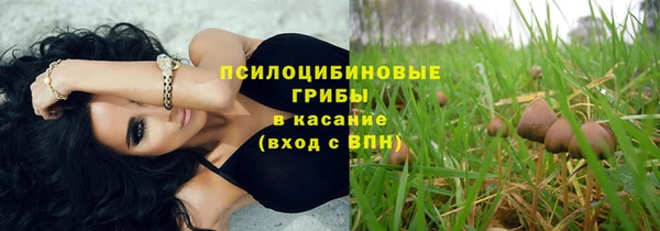 прущая мука Михайловск