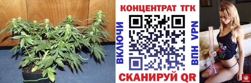 Дистиллят ТГК THC oil  mega маркетплейс  Переславль-Залесский  где найти наркотики 