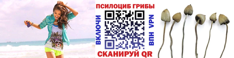 Псилоцибиновые грибы MAGIC MUSHROOMS  наркота  Переславль-Залесский 