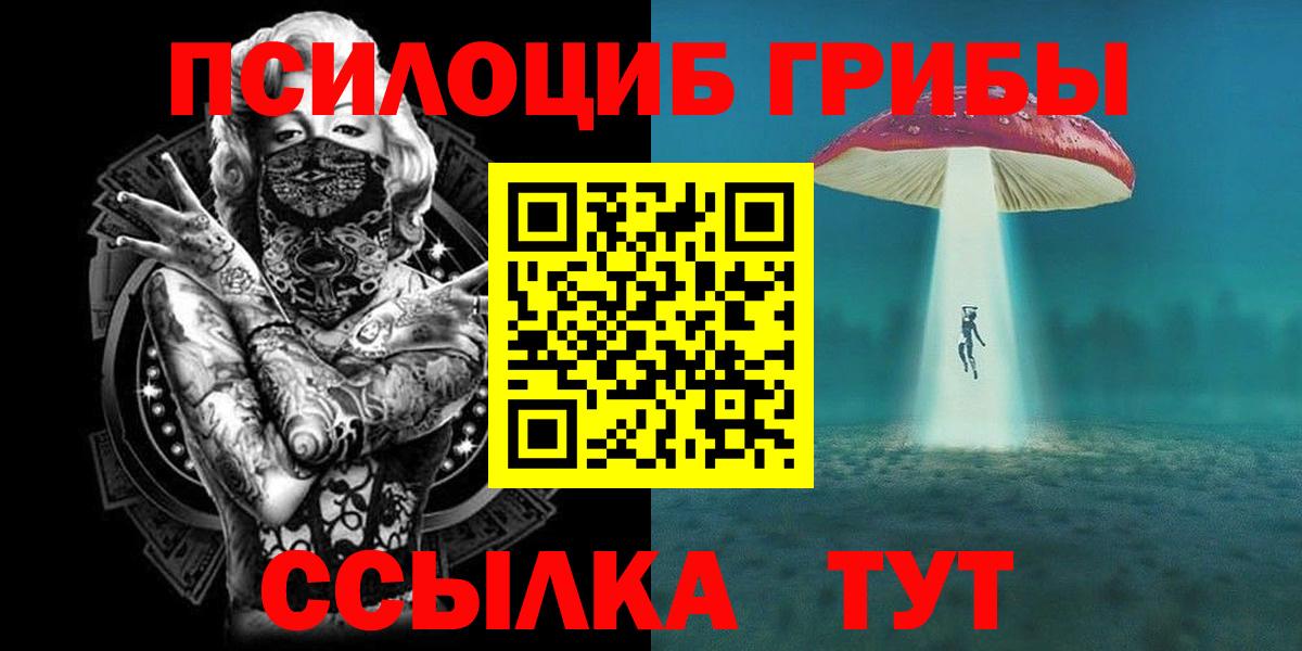 Псилоцибиновые грибы Cubensis  Вход с VPN  Переславль-Залесский 