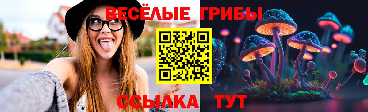 Псилоцибиновые грибы GOLDEN TEACHER Переславль-Залесский